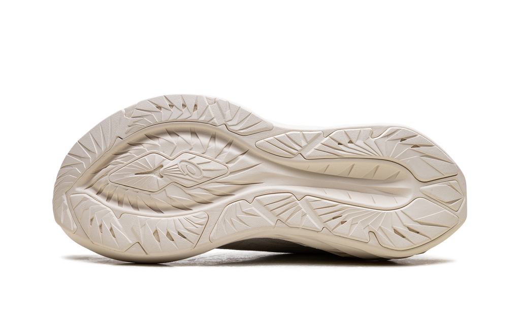 Asics Novablast 4 White / White 1011B693 102
