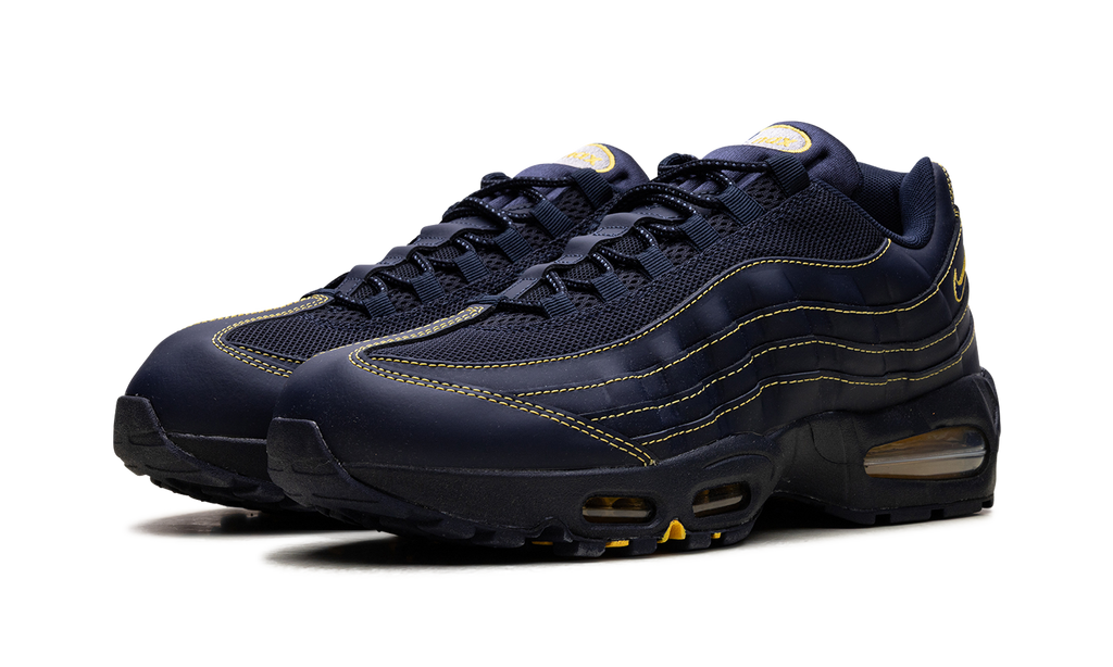 Nike Air Max 95 Michigan IB7936 400