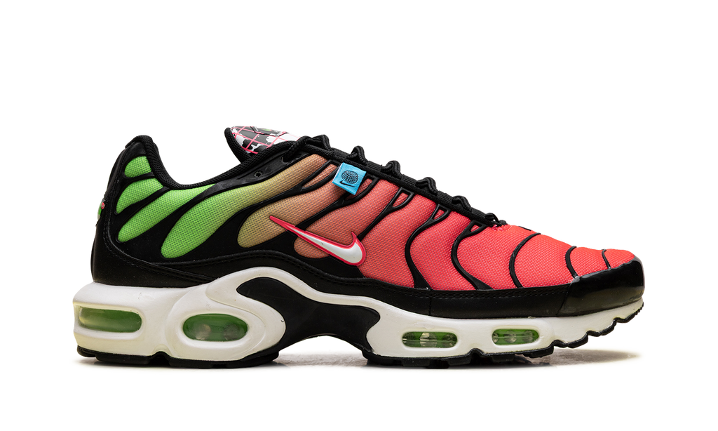 Nike Air Max Plus WW Worldwide Pack Crimson Green CK7291 001