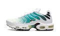 Nike Air Max Plus WMNS Dusty Cactus Barely Volt DZ3670 102