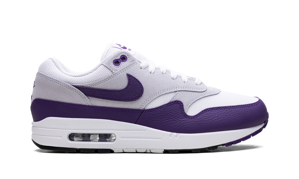 Nike Air Max 1 SC Field Purple DZ4549 101