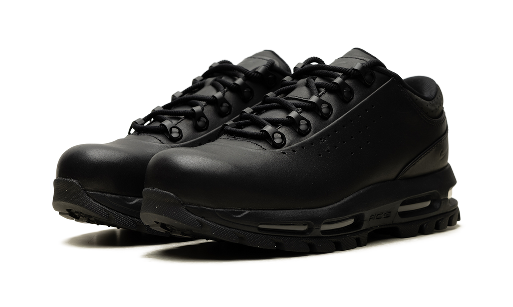 Nike Air Max Goadome Low Black IQ0641 001