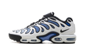 Nike Air Max Plus Drift Summit White Royal Pulse FD4290 102