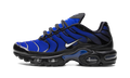 Nike AIR MAX PLUS Black FQ7331-001