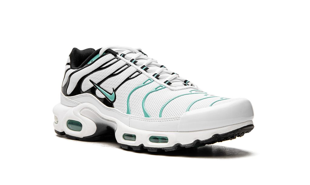 Nike Air Max Plus Atmos 604133 148
