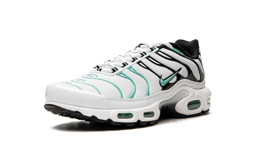 Nike Air Max Plus Atmos 604133 148