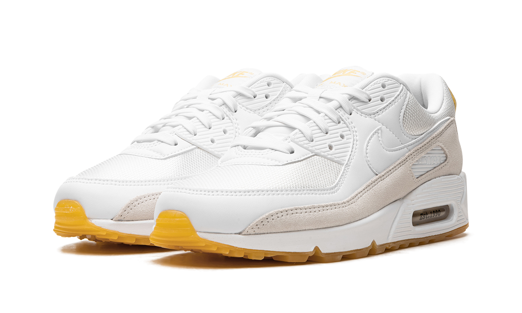 Nike Air Max 90 Frank Rudy DV1734 100