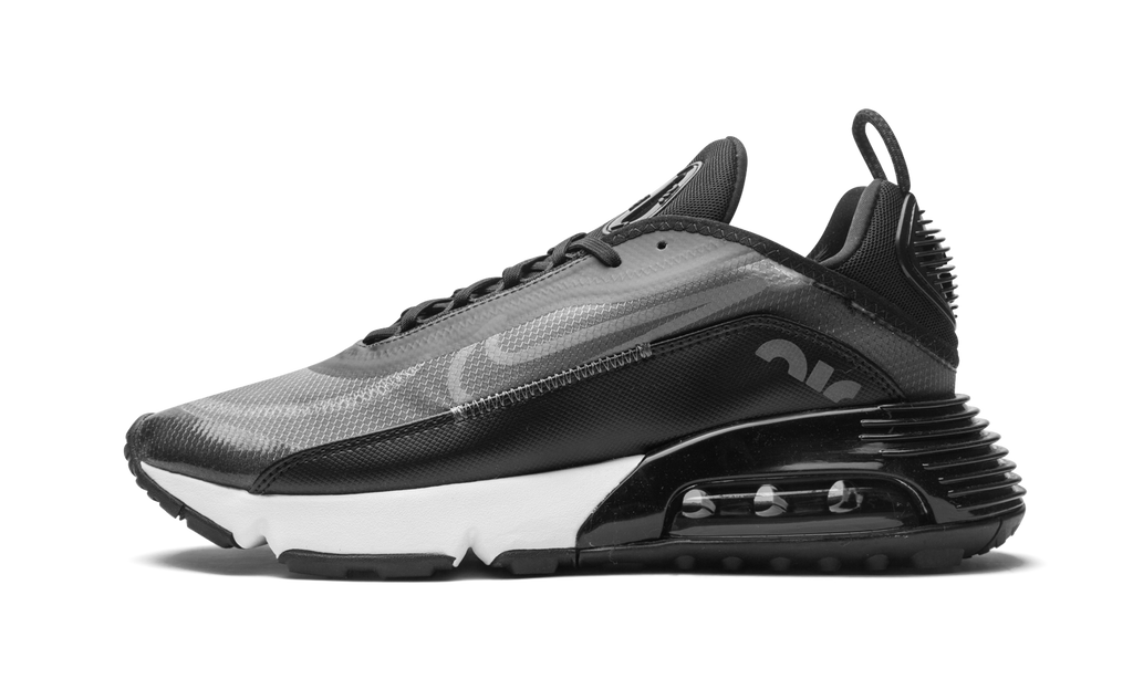 Nike AIR MAX 2090 Black / Wolf Grey CW7306 001