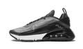 Nike AIR MAX 2090 Black / Wolf Grey CW7306 001