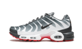 Nike Air Max Plus TN SE AQ0237 100