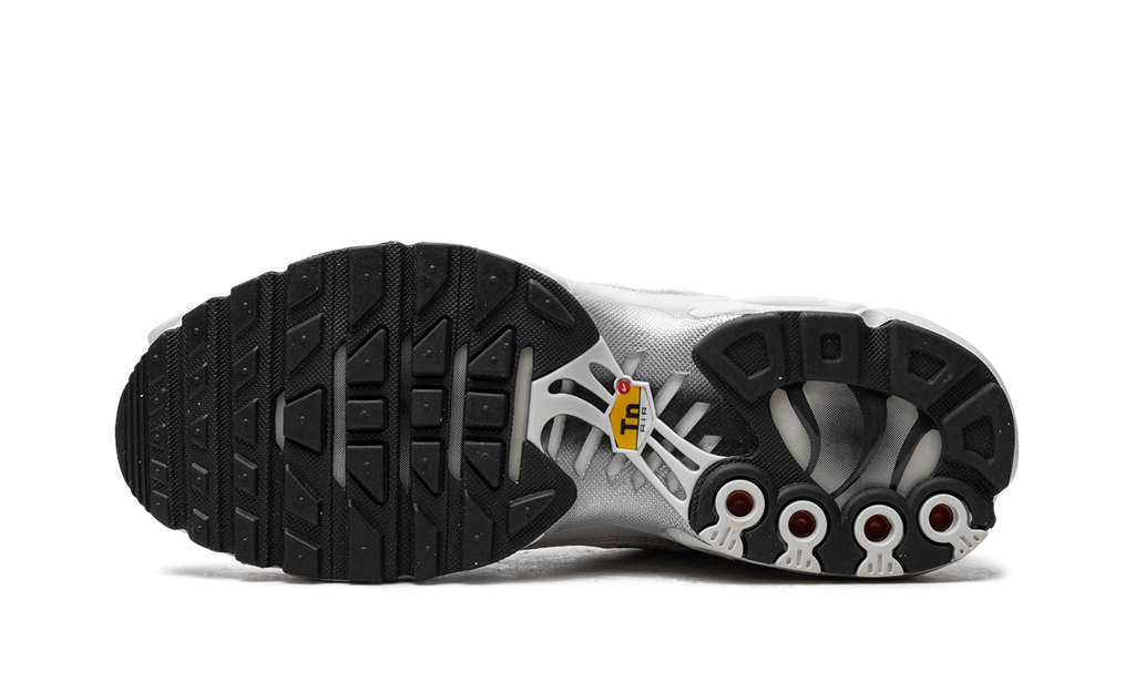 Nike Air Max Plus WMNS Platinum Tint FZ4342 001