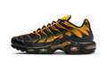 Nike AIR MAX PLUS Black DM0032-007