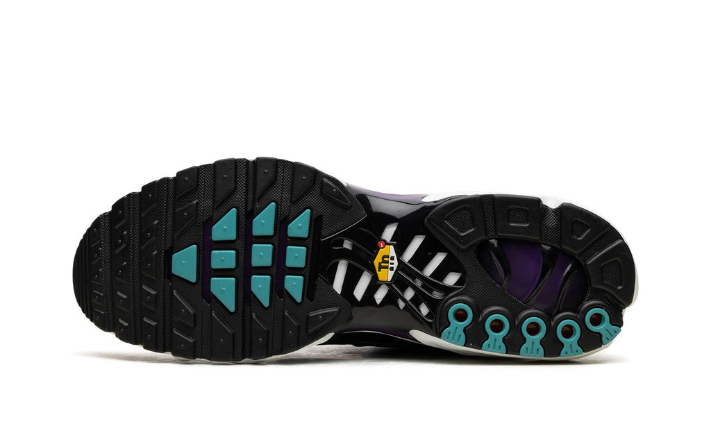 Nike Air Max Plus Reverse Grape FQ2415 500