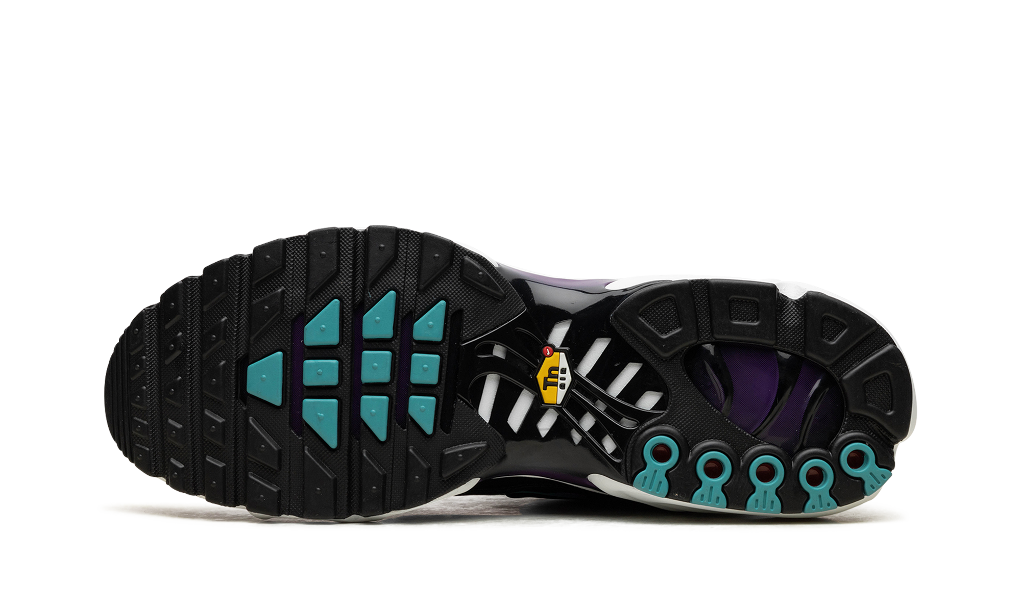 Nike Air Max Plus Reverse Grape FQ2415 500