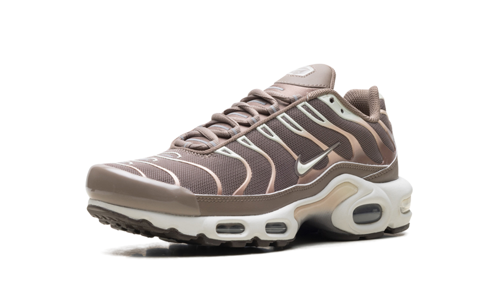 Nike Air Max Plus Mink Brown DZ3671 200