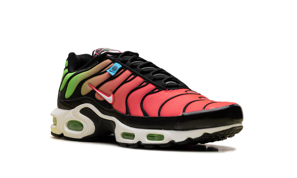 Nike Air Max Plus WW Worldwide Pack Crimson Green CK7291 001