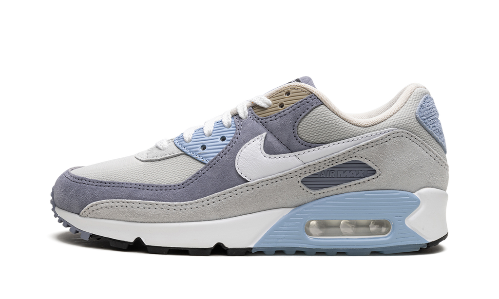 Nike Air Max 90 Ashen Slate DM0035 400