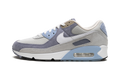 Nike Air Max 90 Ashen Slate DM0035 400