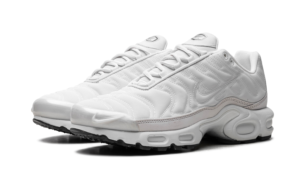 Nike Air Max Plus WMNS Platinum Tint FZ4342 001