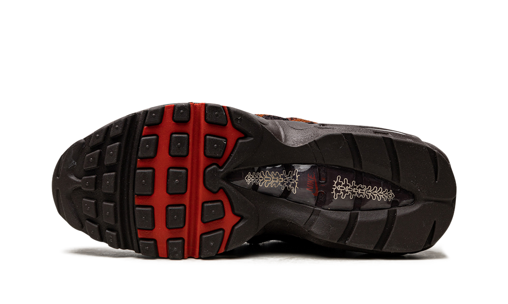 Nike AIR MAX 95 MNS WMNS Anatomy DZ4710 200