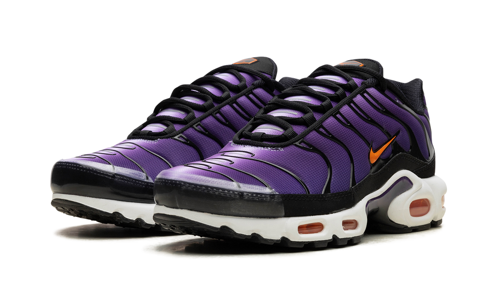 Nike Air Max Plus Voltage Purple DX0755 500