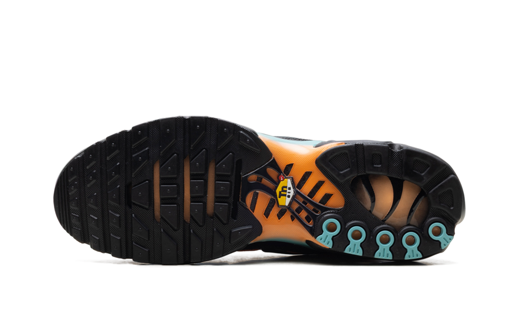 Nike Air Max Plus South Beach DM0032 022