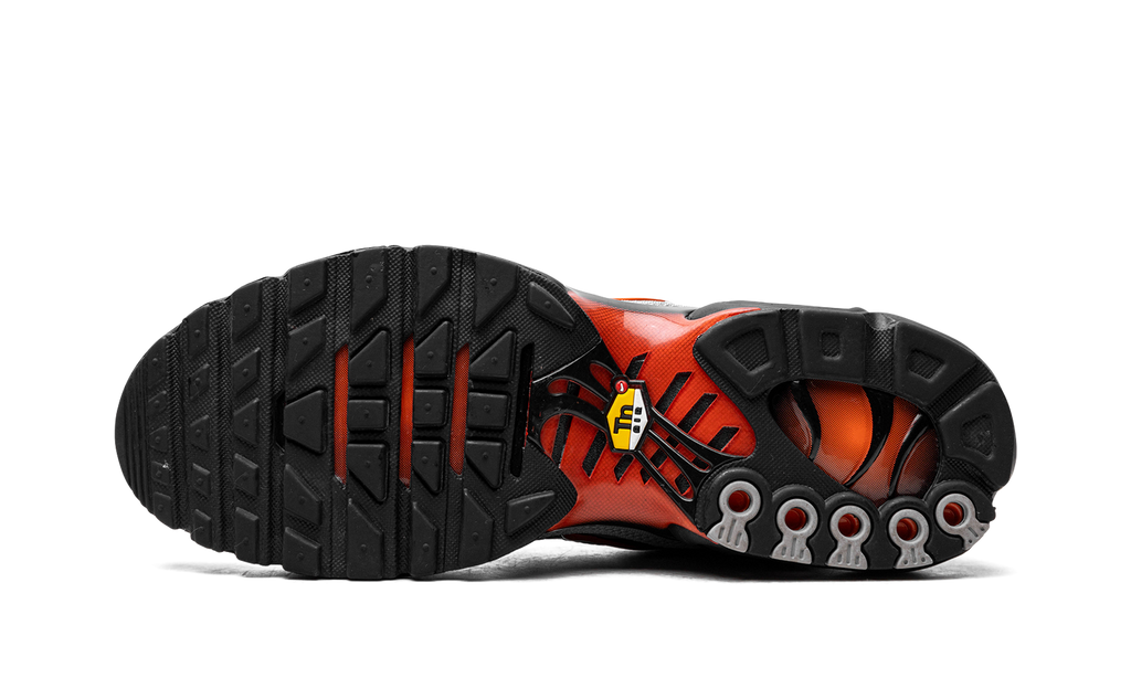 Nike Air Max Plus Wolf Grey Picante Red DM0032 011