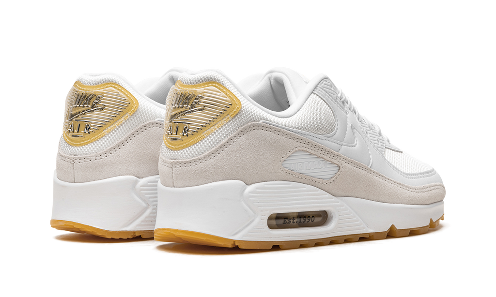 Nike Air Max 90 Frank Rudy DV1734 100