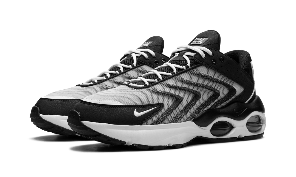 Nike Air Max TW Black White DQ3984 001