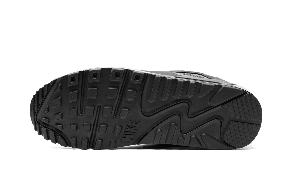Nike Air Max 90 GORE-TEX Dark Smoke Grey FD5810 002