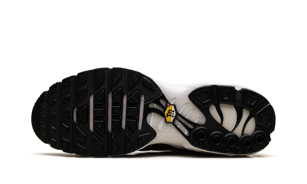 Nike Air Max Plus Panda FV6264 001