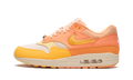 Nike Air Max 1 Puerto Rico - Orange Frost FD6955 800