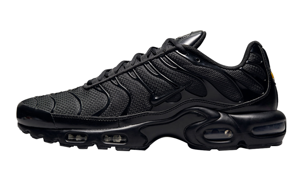 Nike Air Max Plus Triple Black AJ2029 001