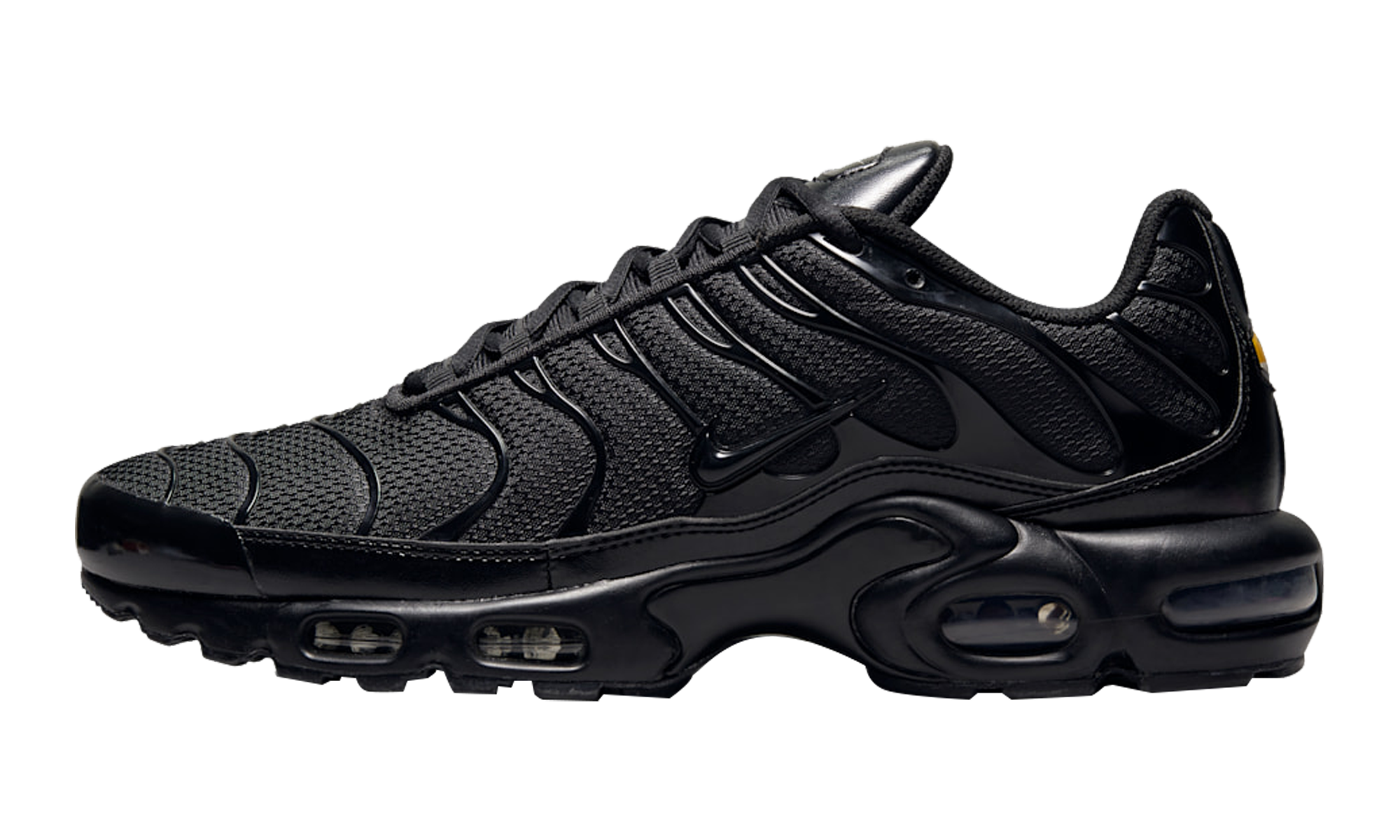 Nike Air Max Plus Triple Black AJ2029 001