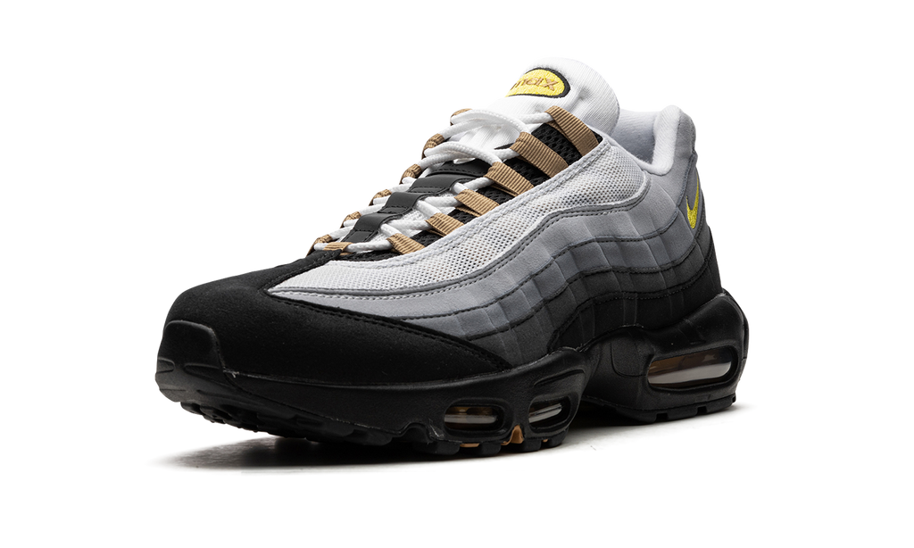Nike Air Max 95 ICONS DX4236 100
