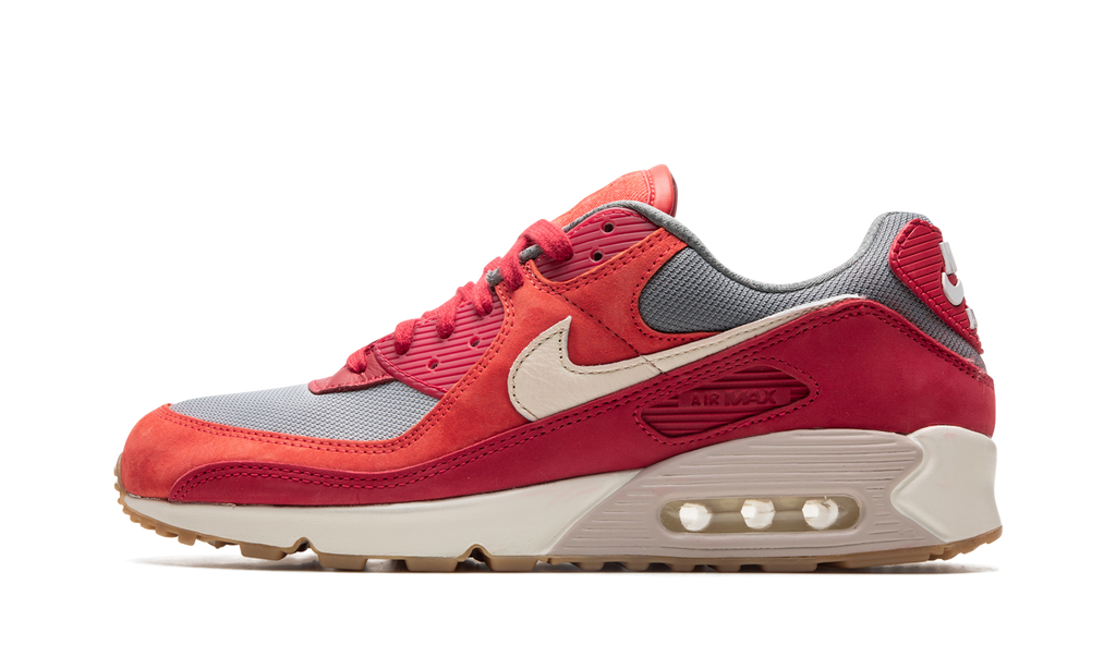 Nike Air Max 90 PRM Gym Red DH4621 600