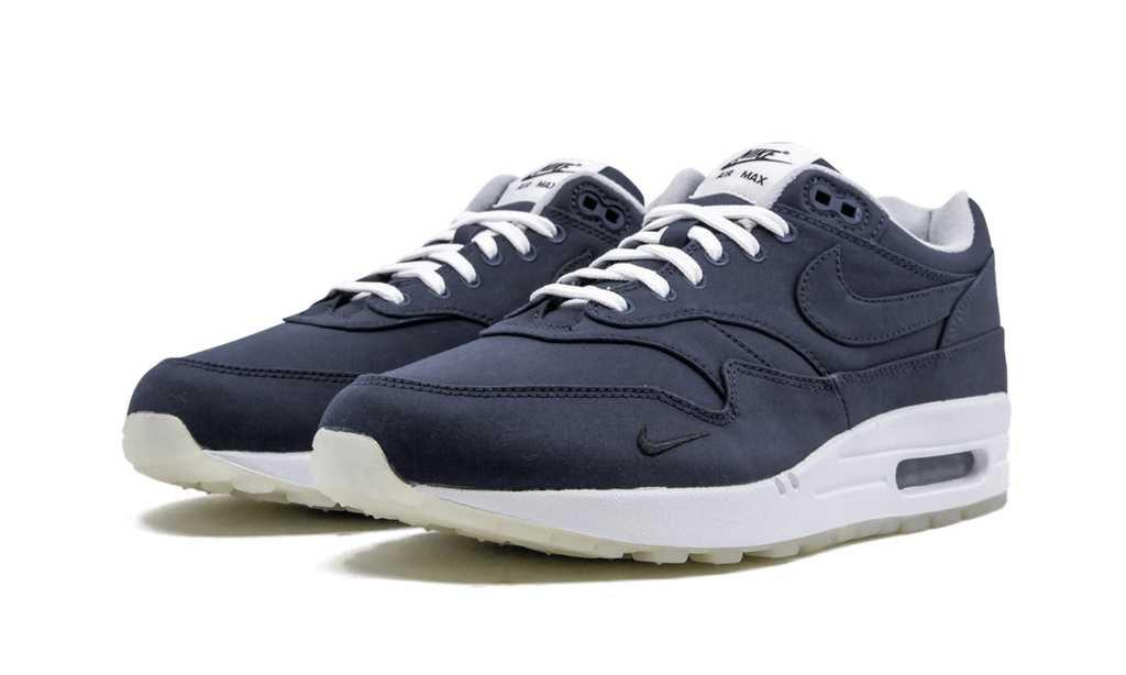 Nike Air Max 1 DSM AH8051 400