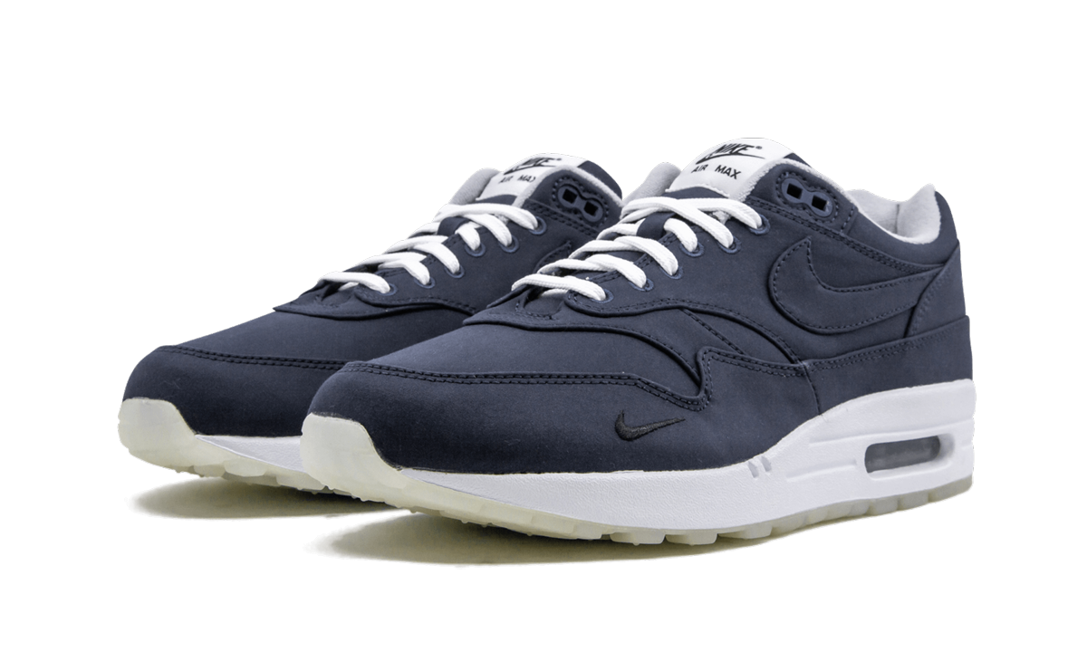 Nike Air Max 1 DSM AH8051 400
