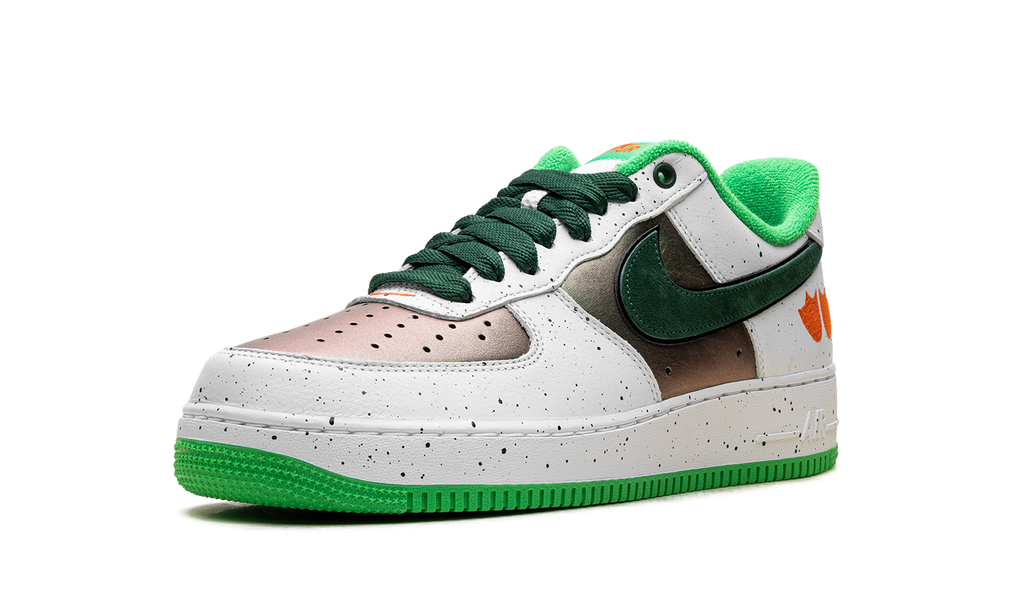 Nike Air Force 1 Low Ducks of a Feather University of Oregon IU7613 100