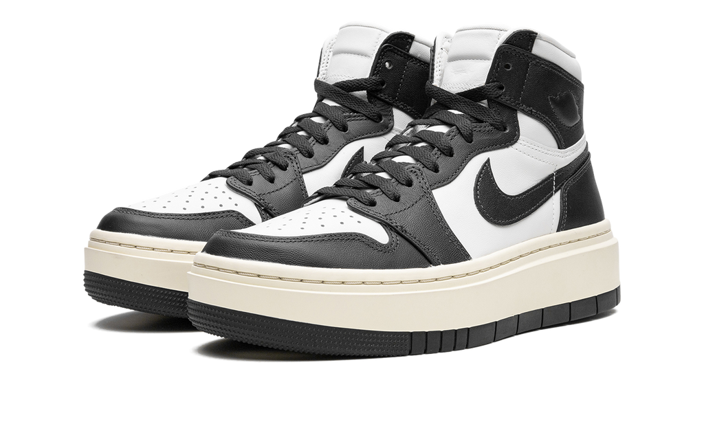 AIR JORDAN 1 ELEVATE HIGH WMNS Dark Ash DN3253 100