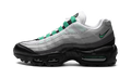 Nike AIR MAX 95 NEXT NATURE WMNS Stadium Green DH8015 002