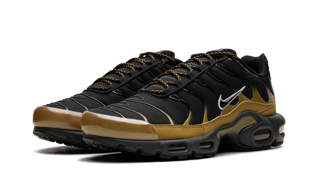 Nike AIR MAX PLUS Black FB9722-700