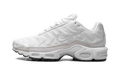 Nike Air Max Plus WMNS Platinum Tint FZ4342 001