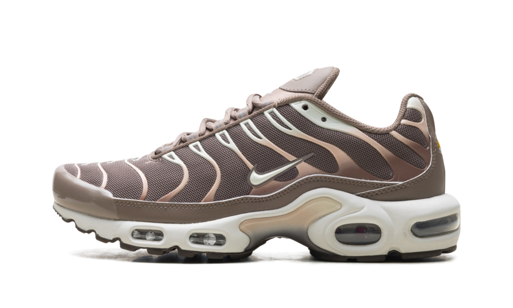 Nike Air Max Plus Mink Brown DZ3671 200