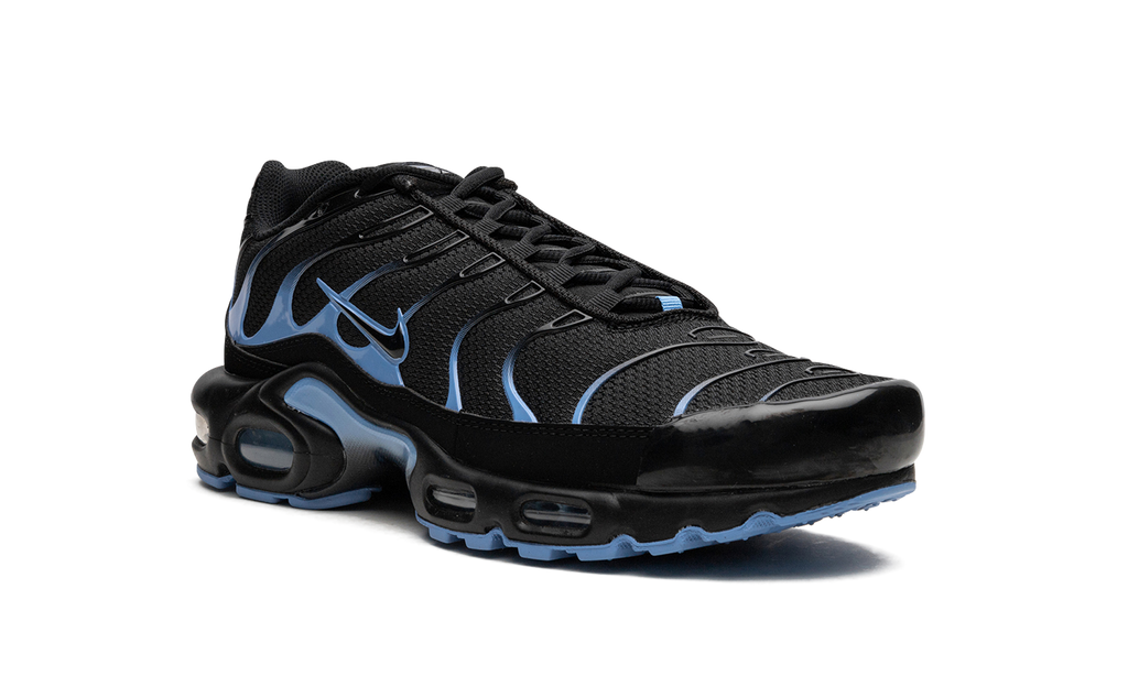 Nike Air Max Plus Black / University Blue DM0032 005