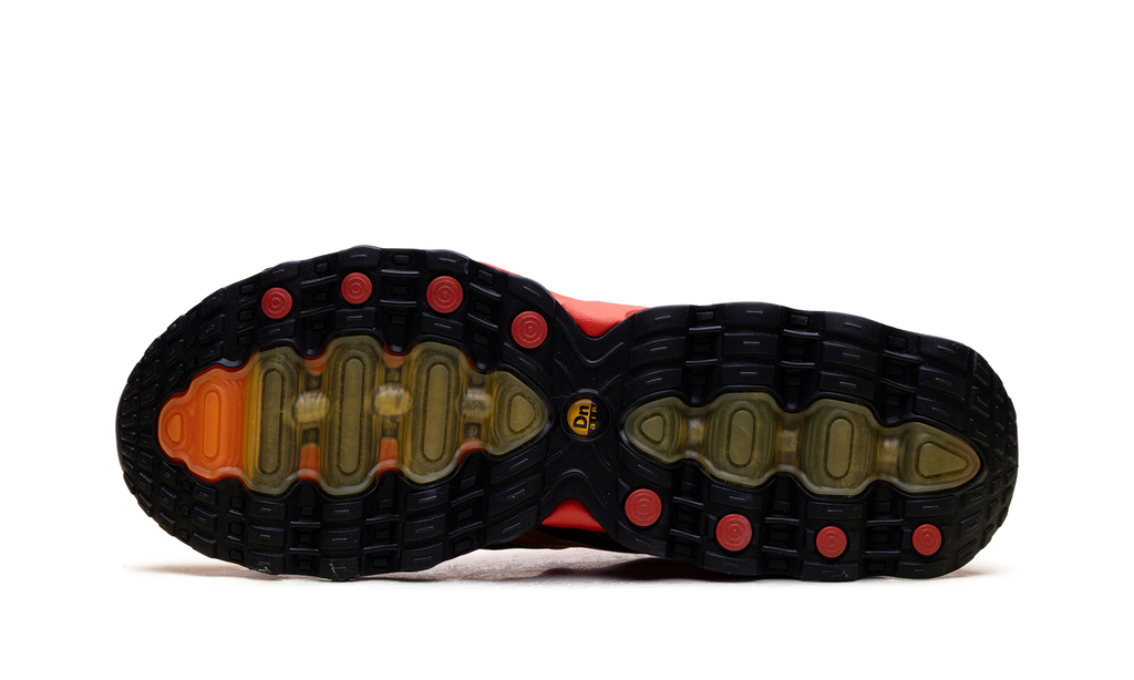Nike Air Max DN8 Team Orange FQ7860 800