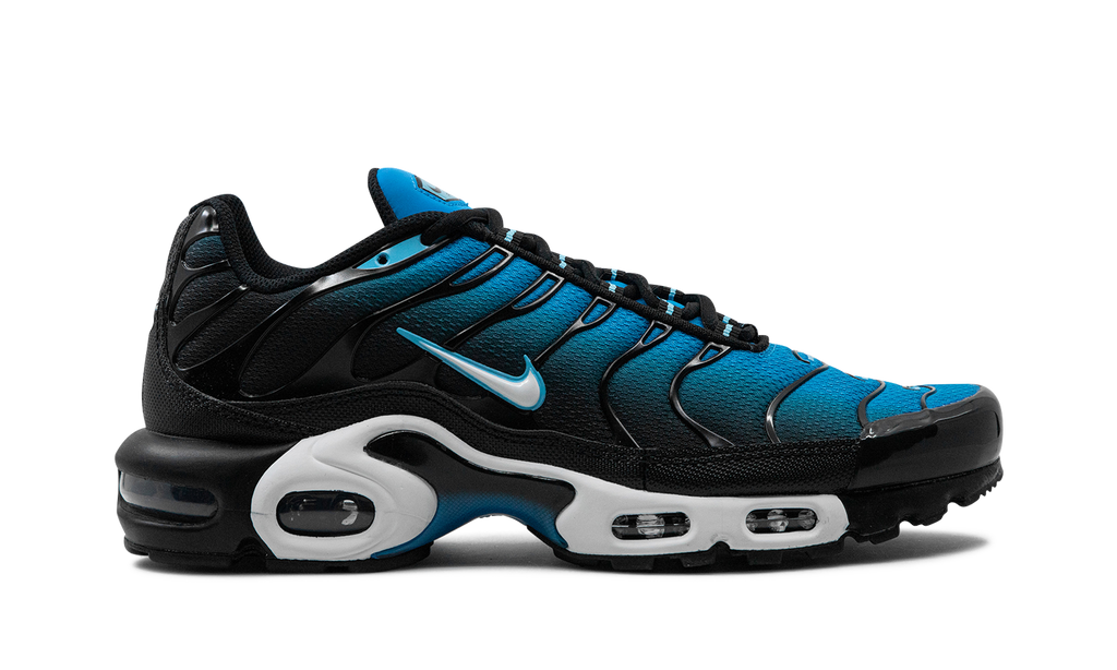 Nike Air Max Plus Aquarius Blue DM0032 402