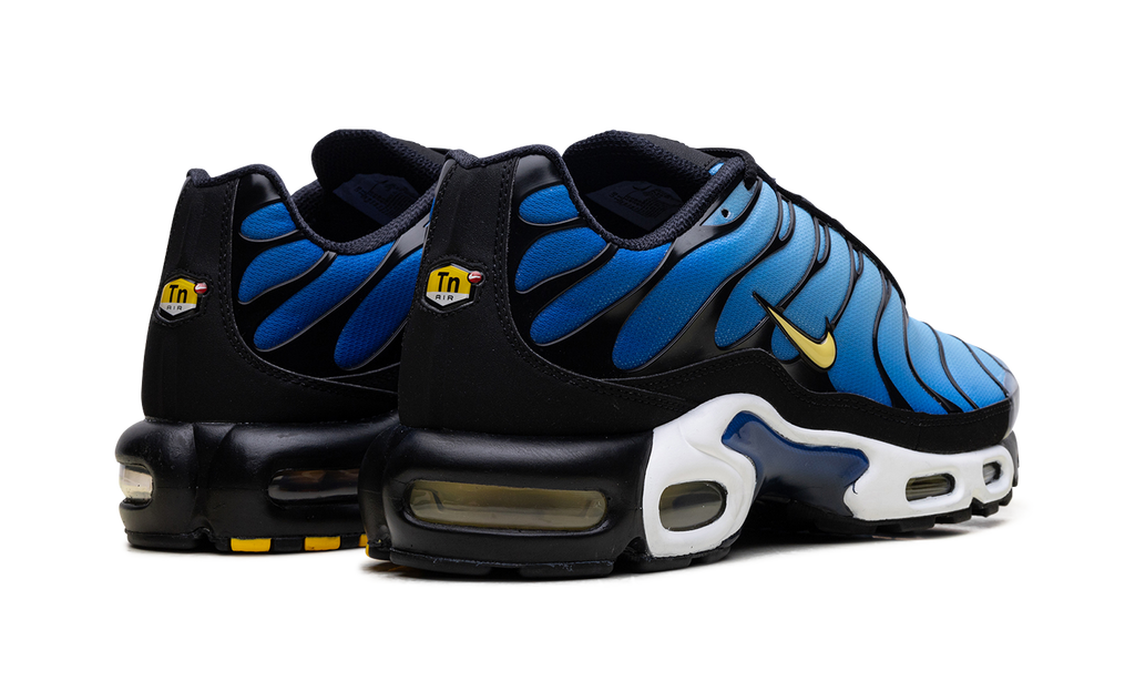 Nike Air Max Plus OG Hyper Blue DX0755 001