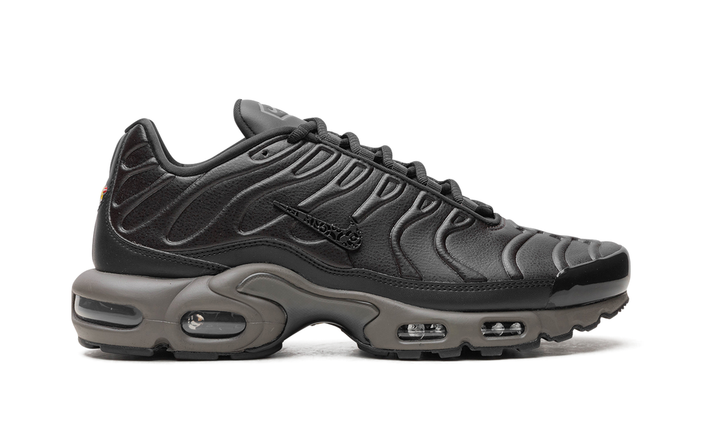 Nike Air Max Plus Black Tea / Petra Brown Black Tea / Petra Brown HJ4519 200