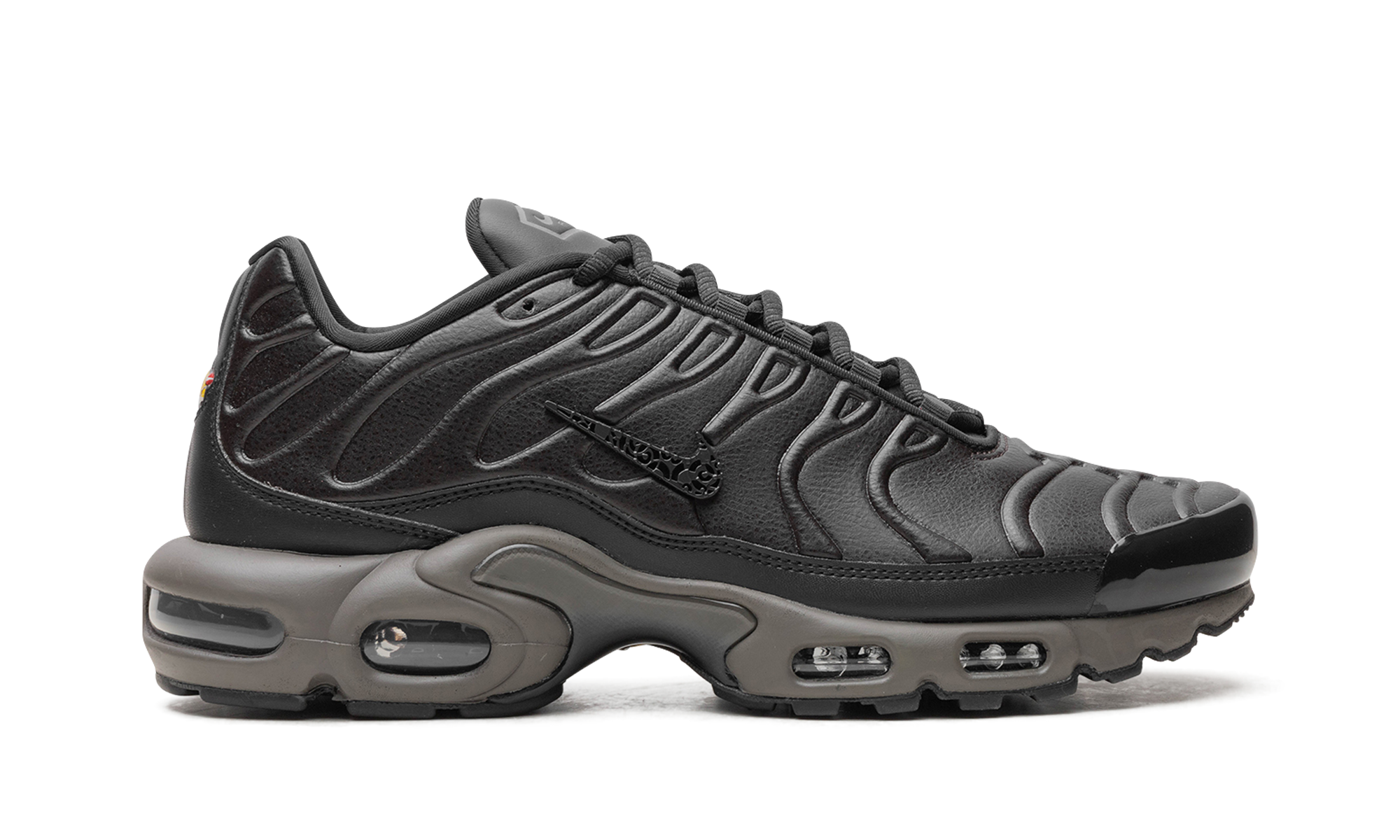 Nike Air Max Plus Black Tea / Petra Brown Black Tea / Petra Brown HJ4519 200